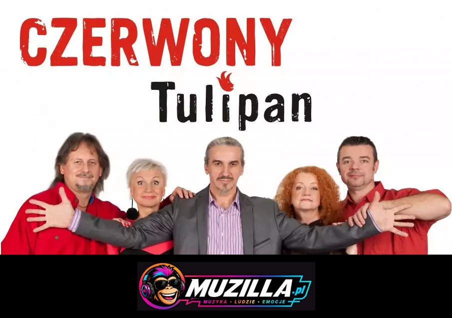 Obraz wpisu
