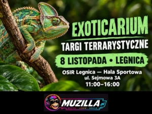 kb exoticarium 10