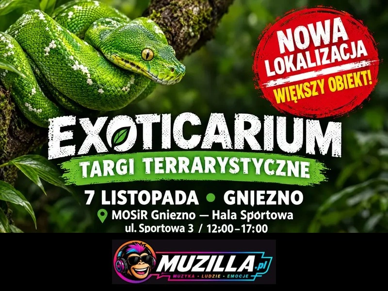 Obraz wpisu