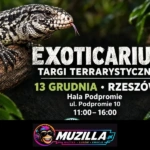 kb exoticarium 13