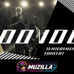 kb koncert voo voo dzwiecznosc