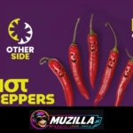 kb tribute to red hot chilli peppers dj z radia