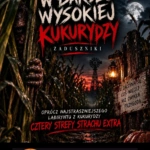 kb w bardzo wysokiej kukurydzy