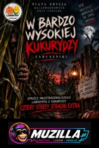 kb w bardzo wysokiej kukurydzy