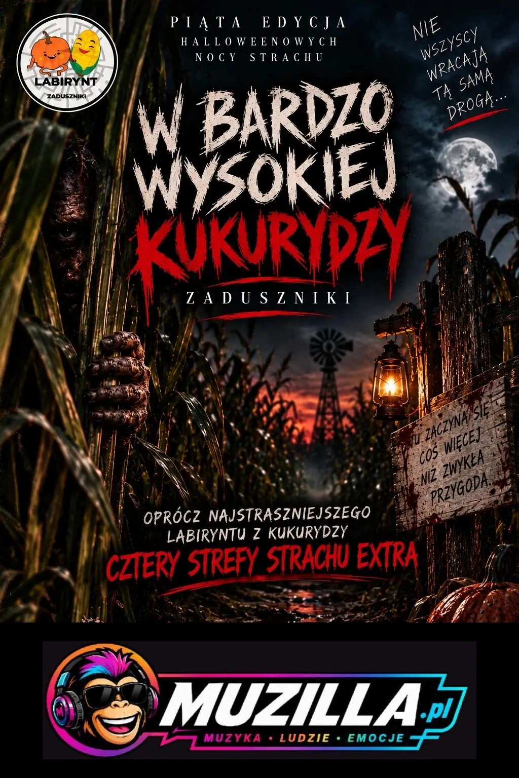 W bardzo wysokiej kukurydzy — Wielgie — 17 października 2026
