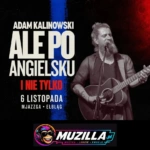 kb znany z the voice of poland idola i viralowych wykonan polskie klasyki i swiatowe przeboje
