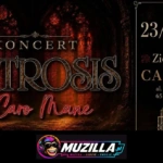 kb artrosis caro mane cafe noir zielona gora 23 10 2026