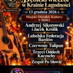 kb lagodna scena noca miejski osrodek kultury w debicy 1