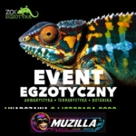 kb zooegzotyka czestochowa 1