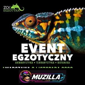 kb zooegzotyka czestochowa 1