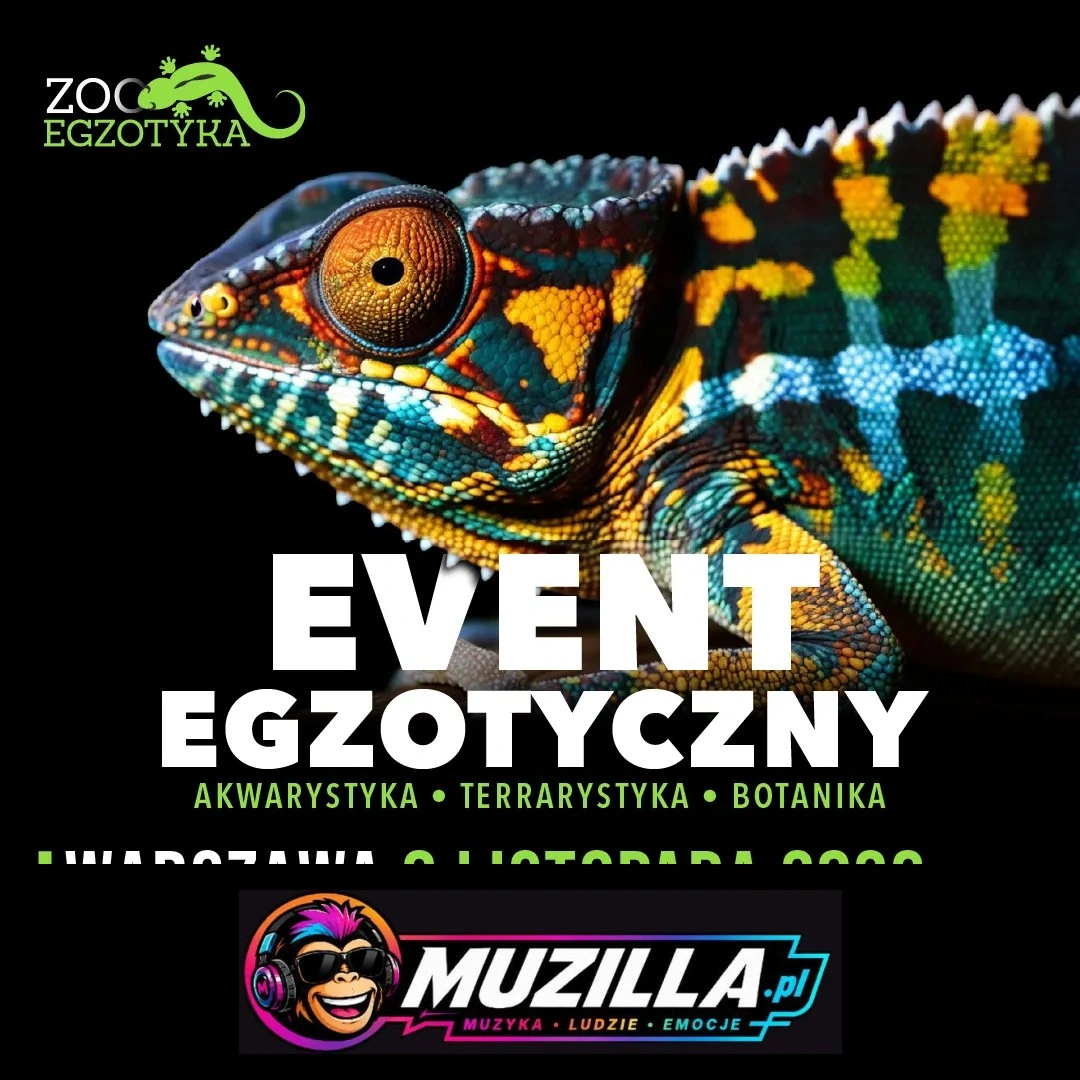 ZooEgzotyka Częstochowa! — Warszawa — 8 listopada 2026